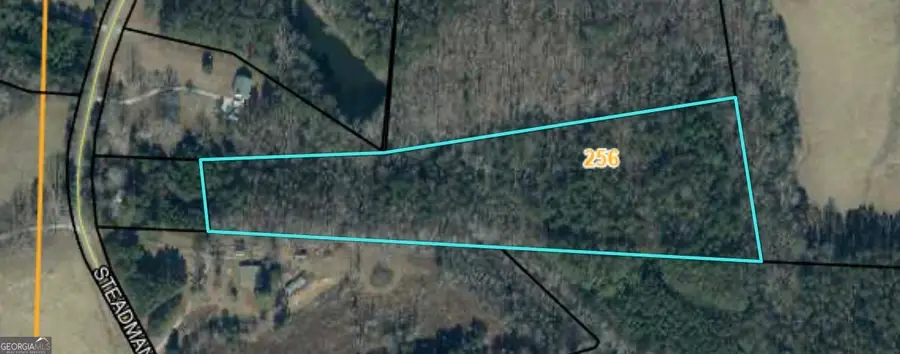 2448 Steadman Road, Tallapoosa, GA 30176 - #3