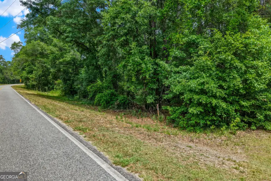 0 Salem Road, Boston, GA 31626 - #3