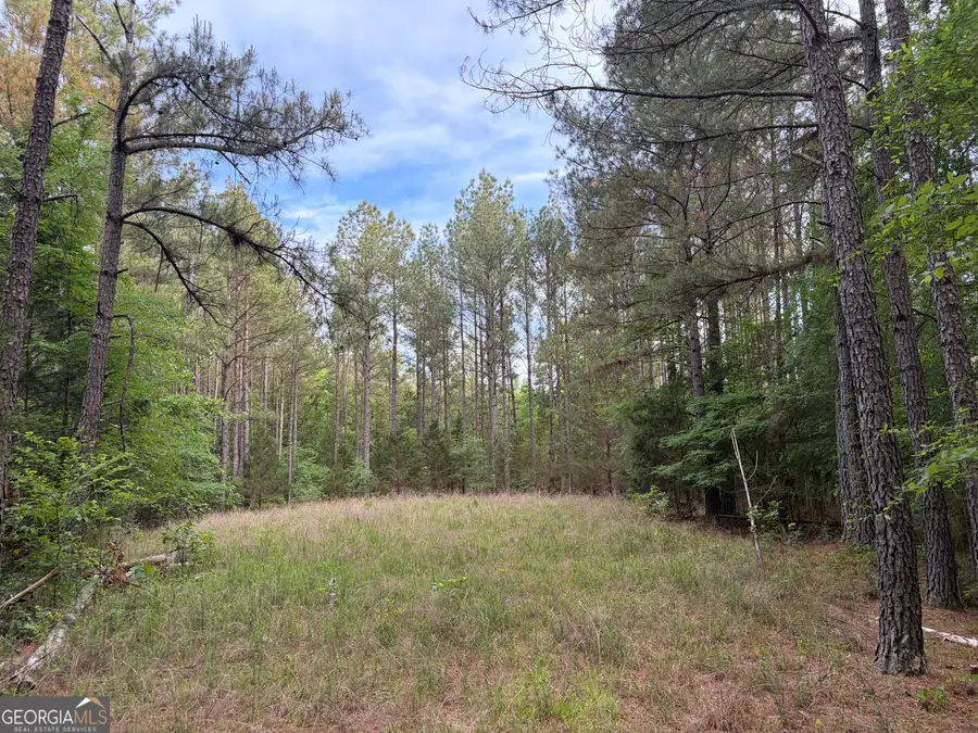 0 Get-a-way Lane, Carlton, GA 30627 - #3