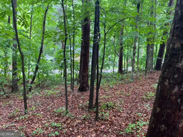 0 Lake Club Drive, Lavonia, GA 30553