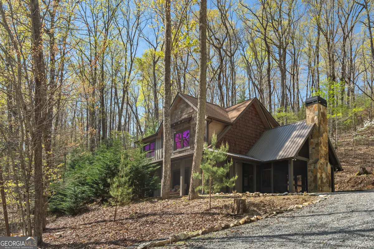 455 Shepherds Walk, Morganton, GA 30560 - #1