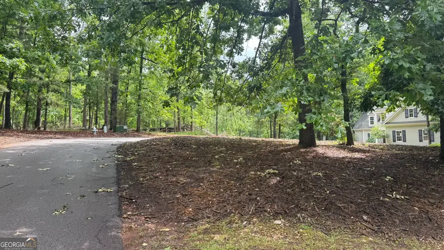 1011 Kakie Place, Greensboro, GA 30642 - #2