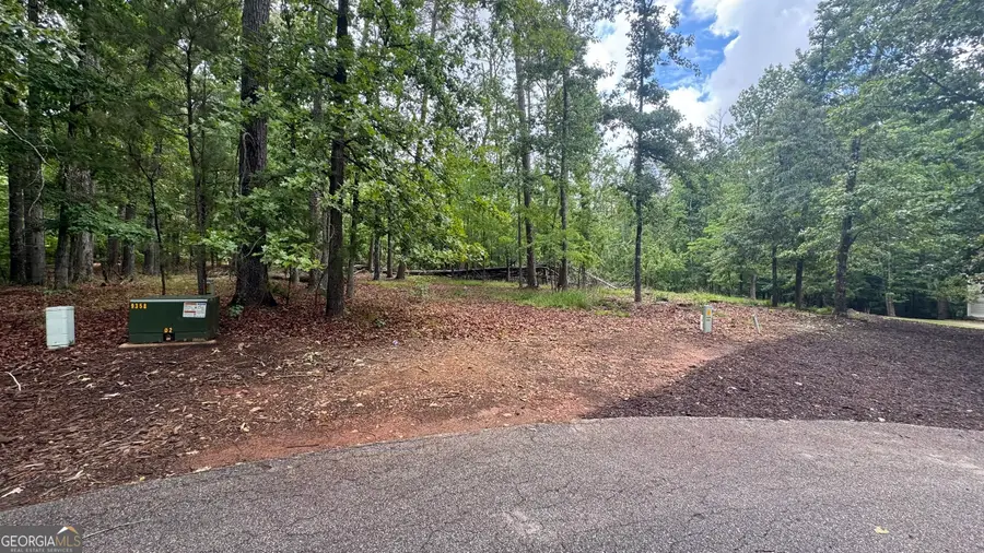 1011 Kakie Place, Greensboro, GA 30642 - #3