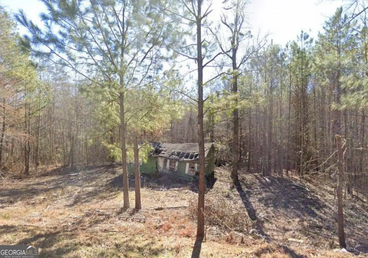 6204 Highway 72 E, Carlton, GA 30627 - #1