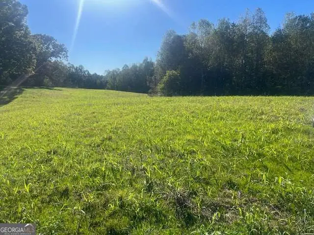 3011 Mark Foster Road, Talking Rock, GA 30175 - #1
