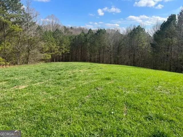 3011 Mark Foster Road, Talking Rock, GA 30175 - #2