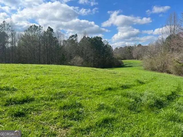 3011 Mark Foster Road, Talking Rock, GA 30175 - #3