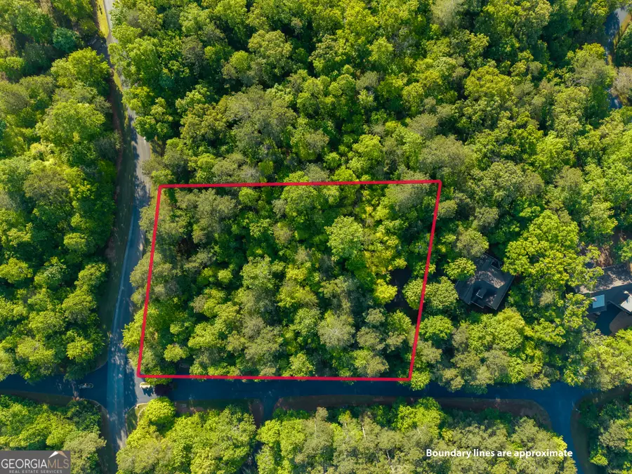 LOT 42 Harris Creek Drive, Ellijay, GA 30540 - #3