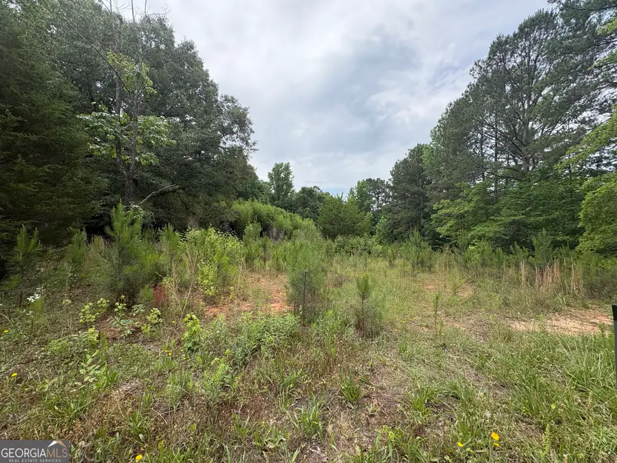 355 N River Circle, Hogansville, GA 30230 - #2