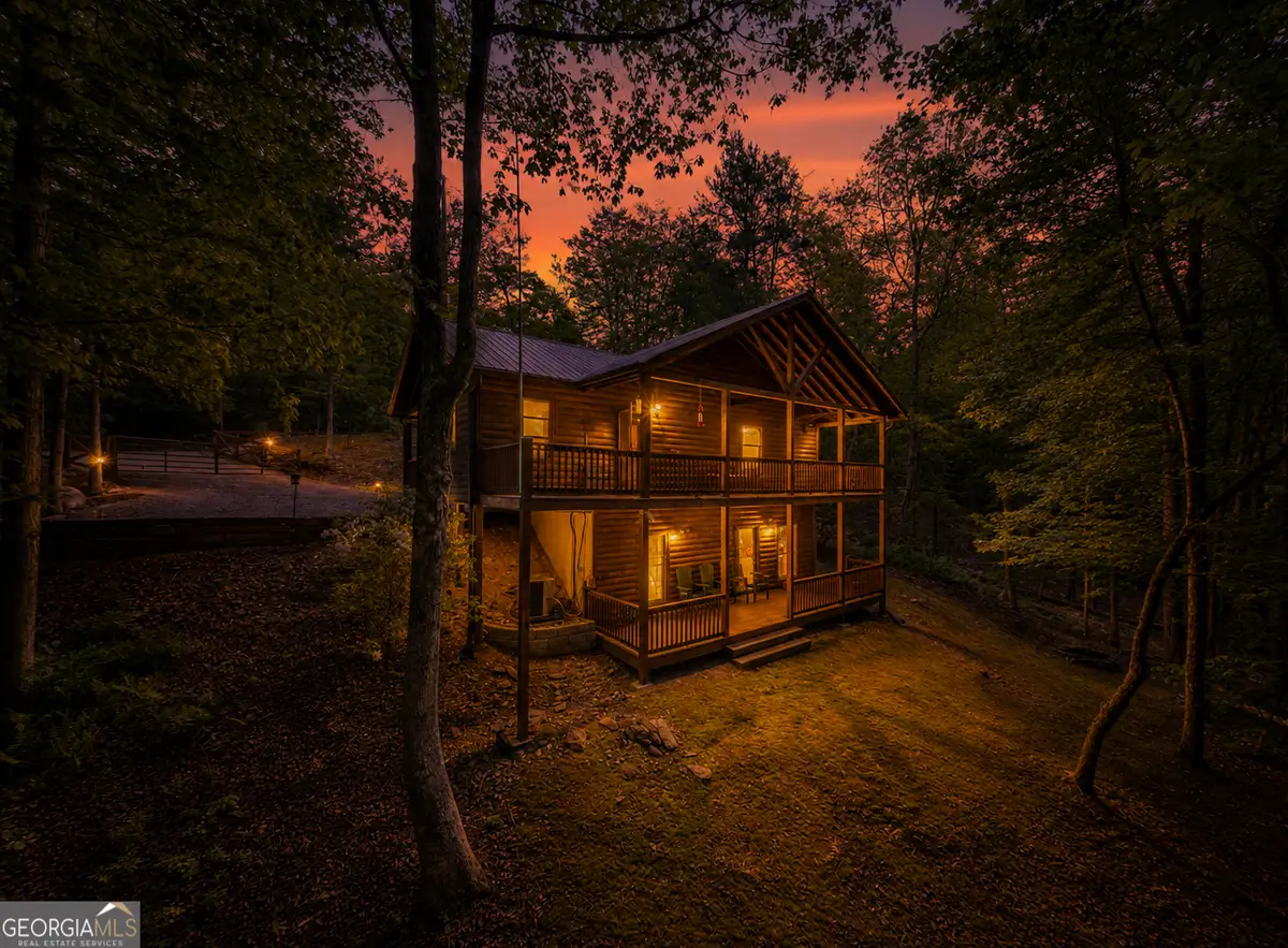215 The Woods Road, Mineral Bluff, GA 30559 - #1
