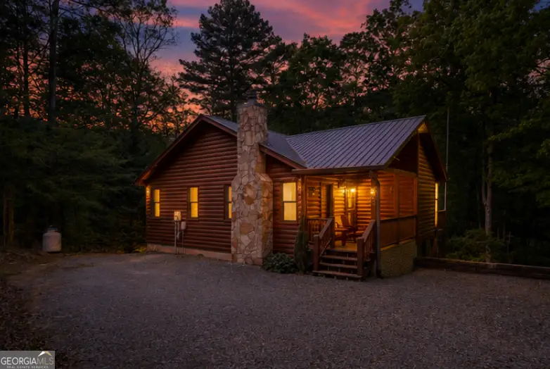 215 The Woods Road, Mineral Bluff, GA 30559 - #3