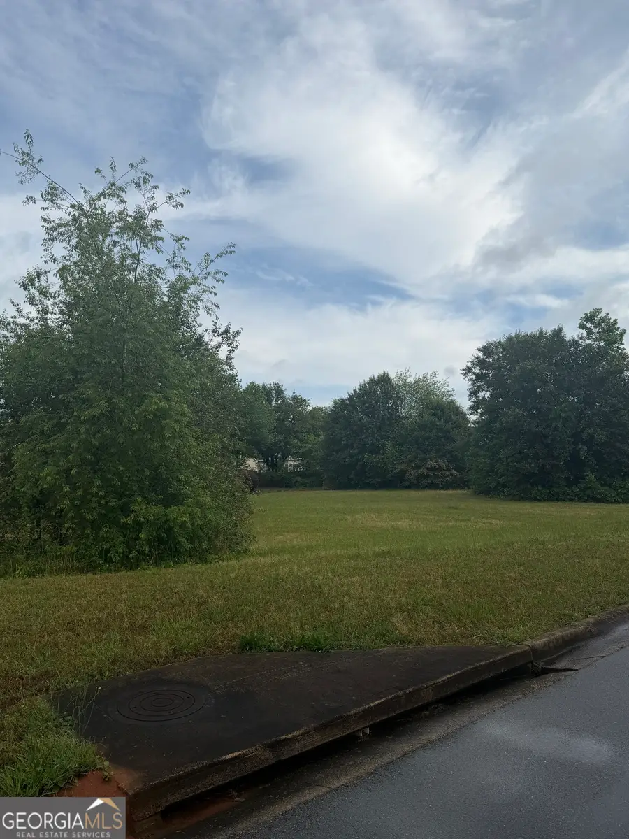 1102 Cameron Road, McDonough, GA 30253 - #3
