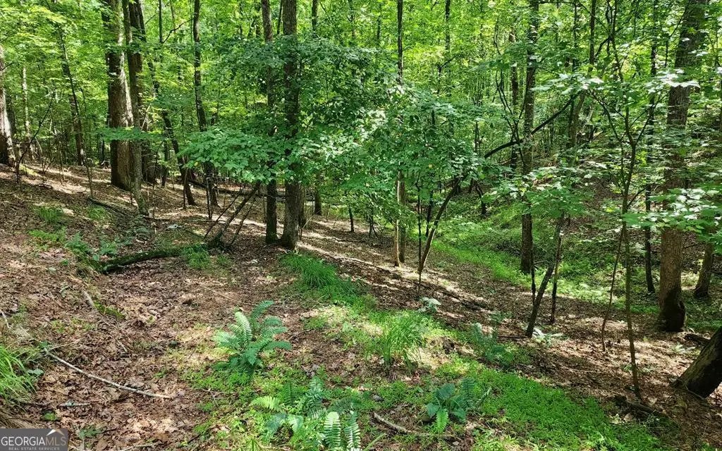 LOT 838 Oneida Circle, Ellijay, GA 30540 - #1