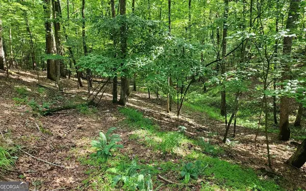 LOT 838 Oneida Circle, Ellijay, GA 30540