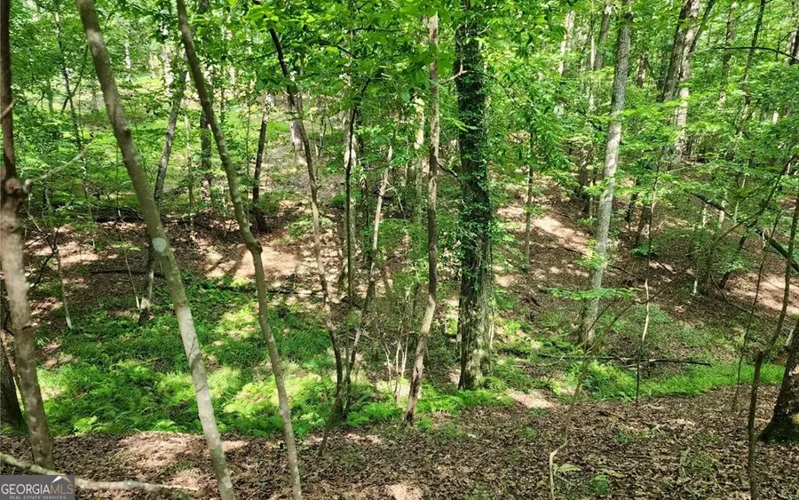 LOT 838 Oneida Circle, Ellijay, GA 30540 - #2