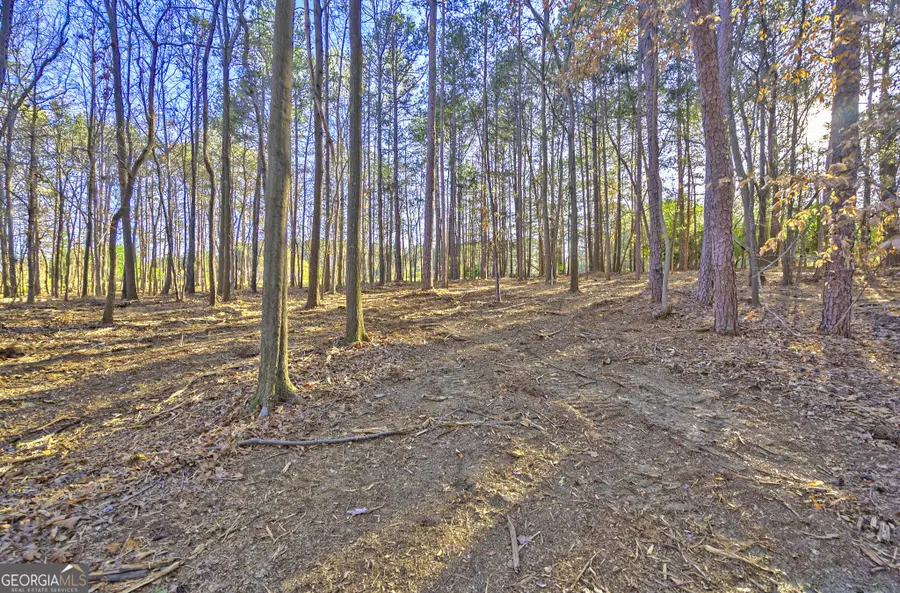 LOT1 Powderbag Creek Road, Hartwell, GA 30643 - #3