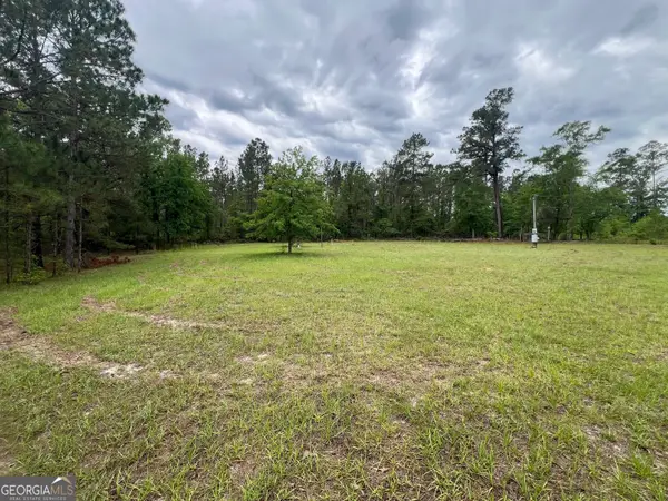 1494 Hiltonia Road, Millen, GA 30442