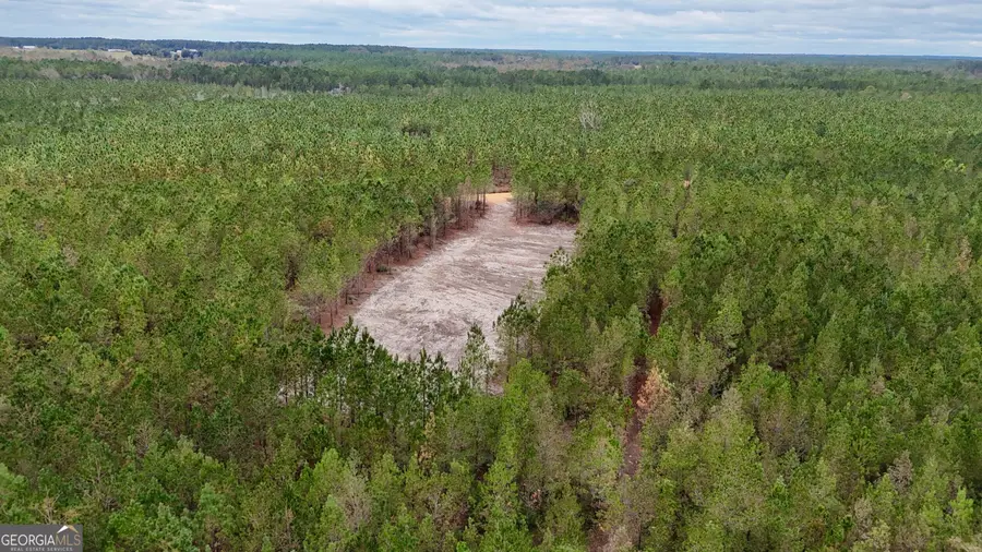TRACT 7 AND 8 Penny Morris Road, Baxley, GA 31513 - #3