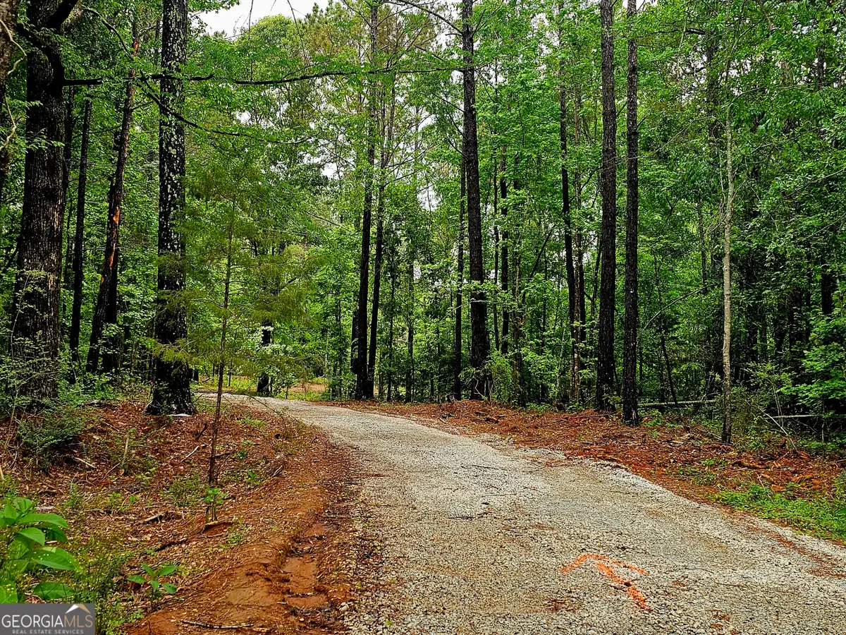 0 School House Hill Road, Franklin, GA 30217 - #1