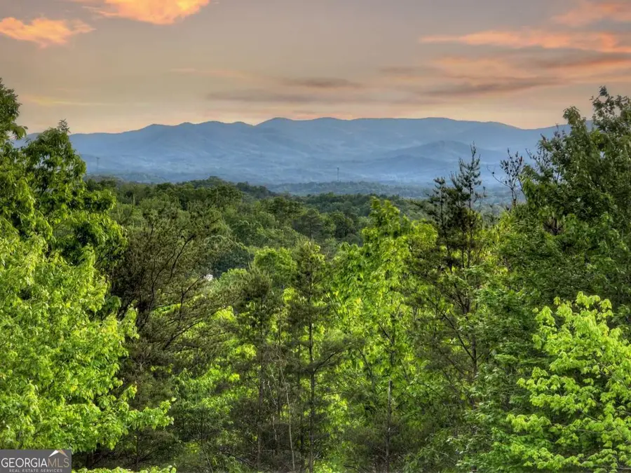 291 Pine Pass Circle, Mineral Bluff, GA 30559 - #3