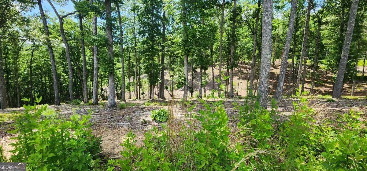 LT 106 Split Creek Road #106, Morganton, GA 30560 - #1