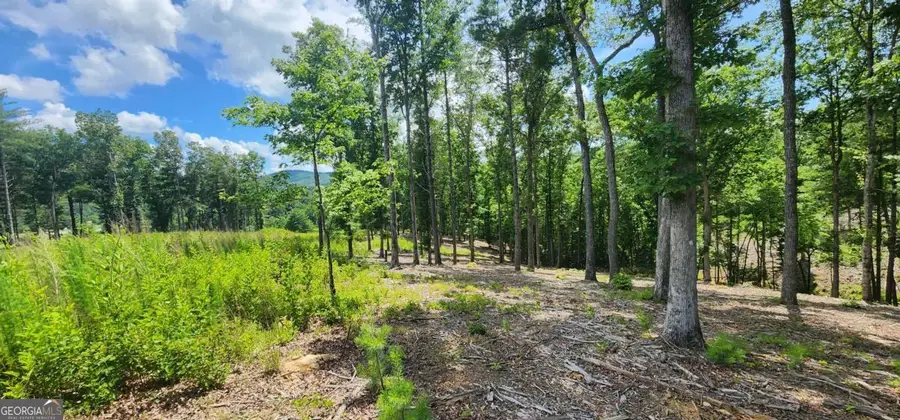 LT 106 Split Creek Road #106, Morganton, GA 30560 - #2
