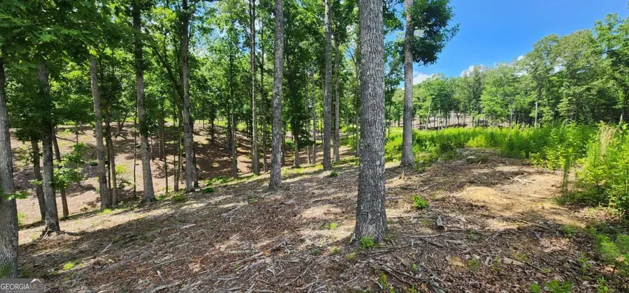 LT 106 Split Creek Road #106, Morganton, GA 30560 - #3