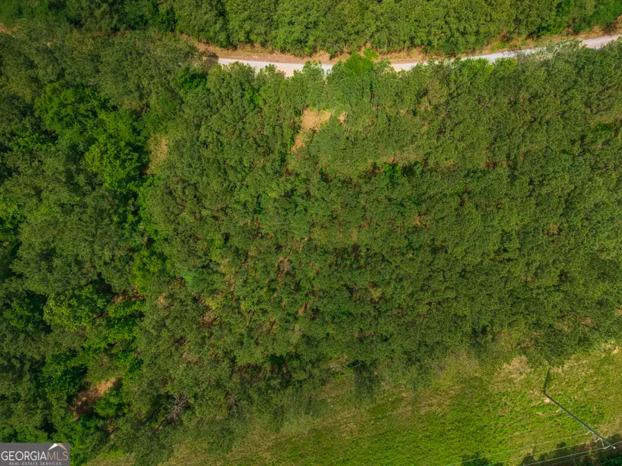 0 Old Haul Road, Dry Branch, GA 31020 - #2