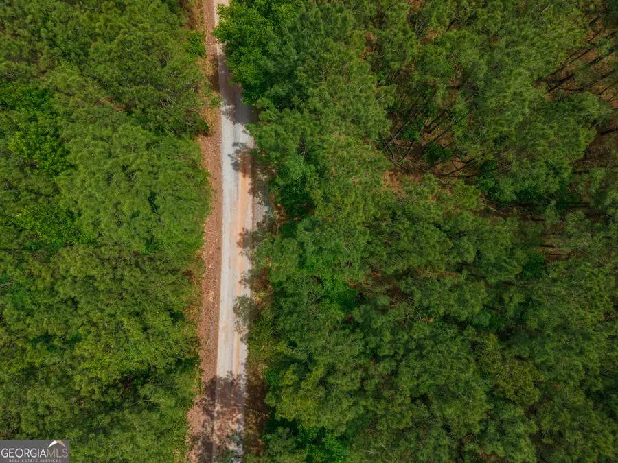 0 Old Haul Road, Dry Branch, GA 31020 - #3