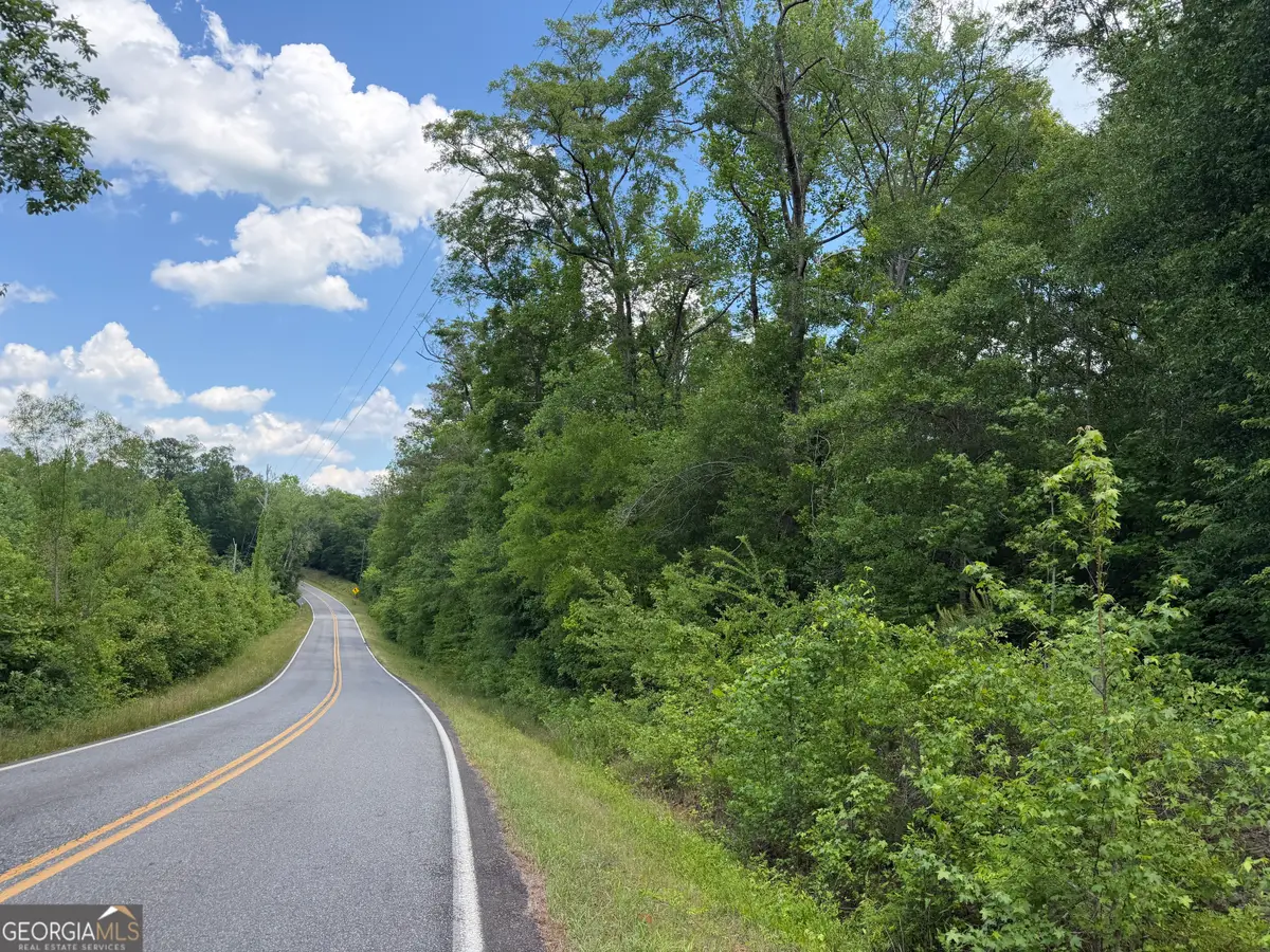 011 Long Branch Road, Toomsboro, GA 31090 - #1