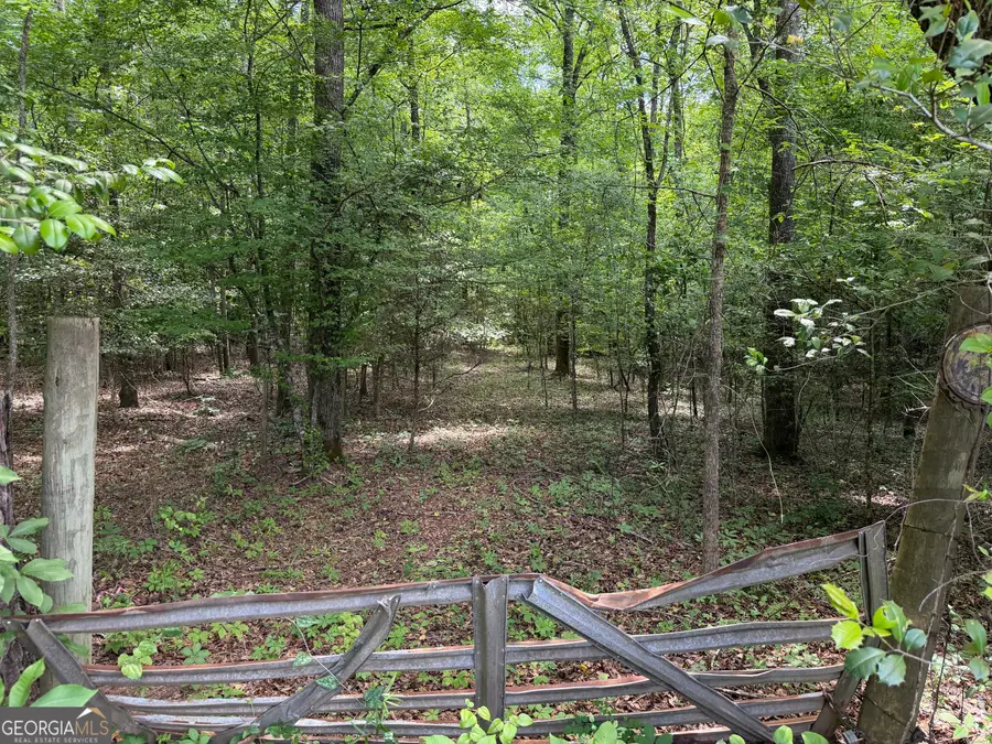 011 Long Branch Road, Toomsboro, GA 31090 - #3
