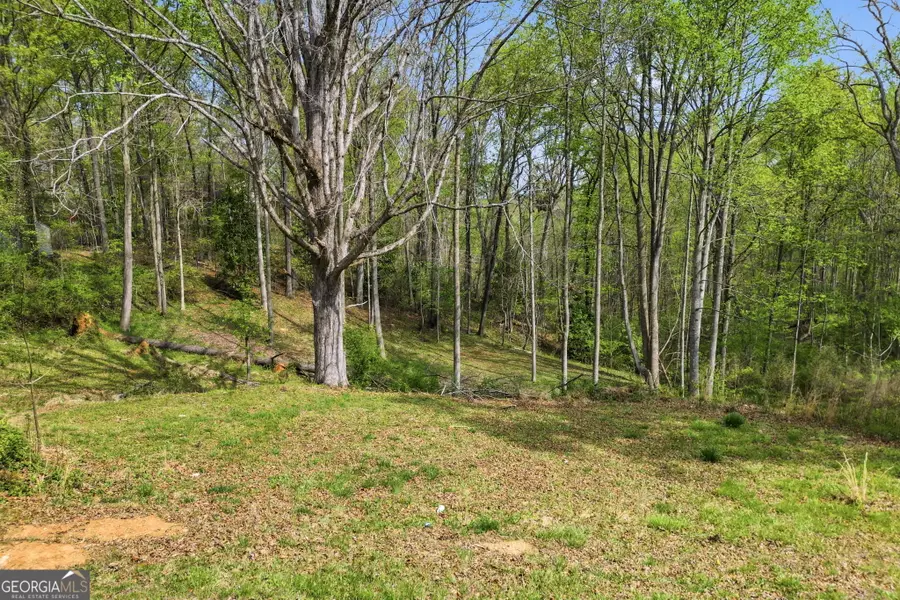 4031 Old Cornelia Highway, Gainesville, GA 30507 - #2