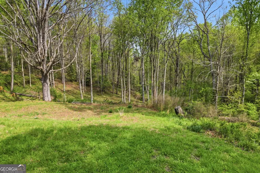 4031 Old Cornelia Highway, Gainesville, GA 30507 - #3