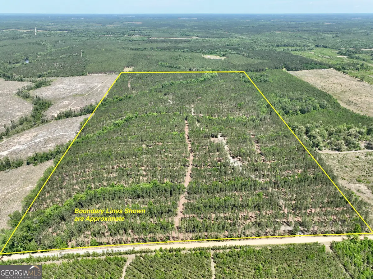 0 Jerry Farmer Road, Eastman, GA 31023 - #1