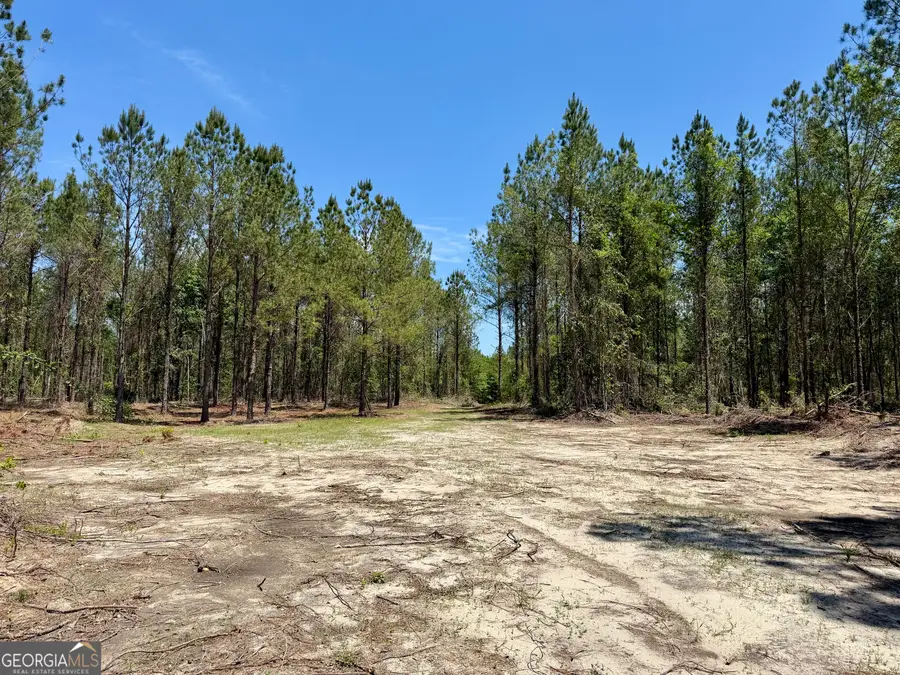 0 Jerry Farmer Road, Eastman, GA 31023 - #3