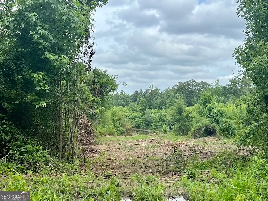 0 Folds Rd (tract D 22.67 Acres), Carrollton, GA 30116 - #2