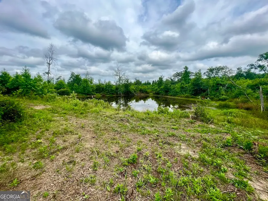 0 Folds Rd (tract D 22.67 Acres), Carrollton, GA 30116 - #3