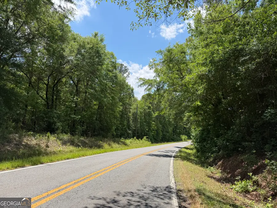 06 Long Branch Road, Toomsboro, GA 31090 - #2