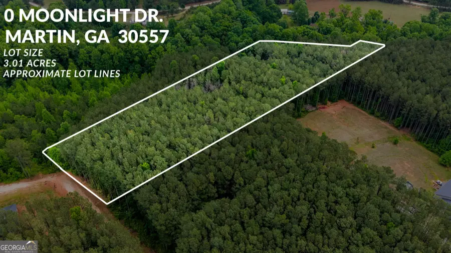 0 Moonlight Drive, Martin, GA 30557 - #2