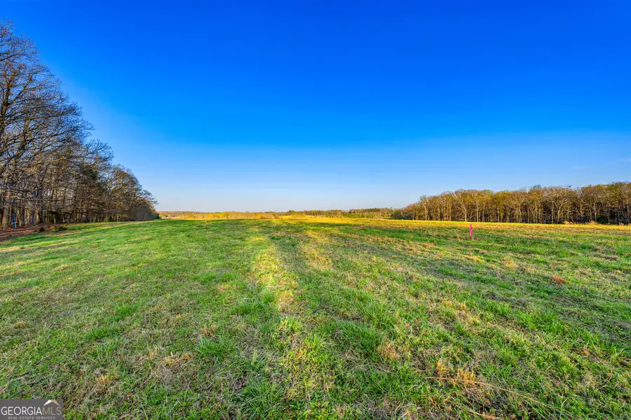 7 Legacy View, Hartwell, GA 30643 - #3