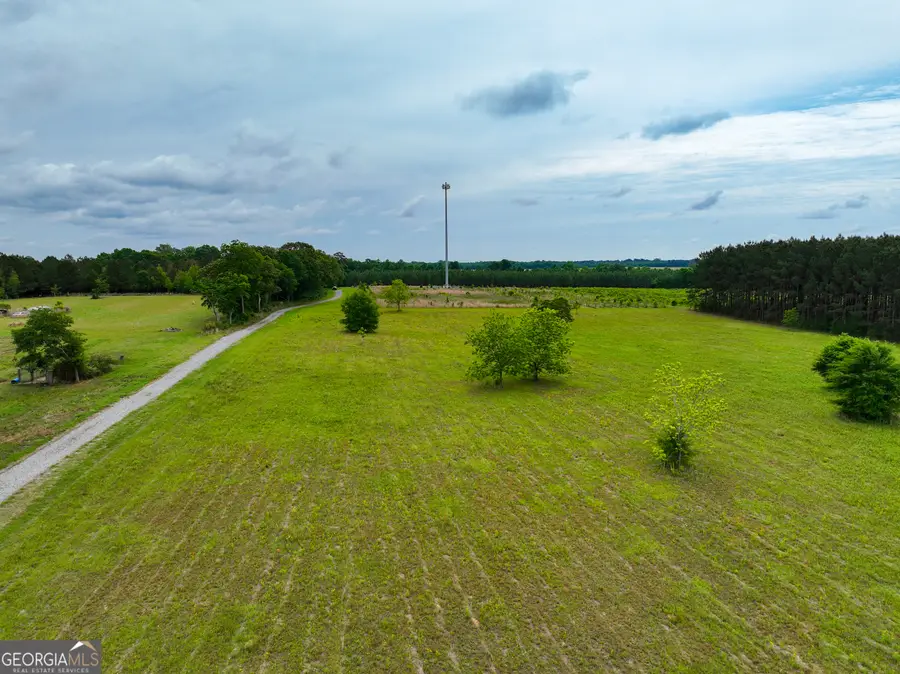 759 Pitts Road, Hawkinsville, GA 31036 - #3