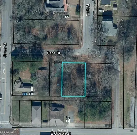 0 Pace Street, Cedartown, GA 30125 - #1