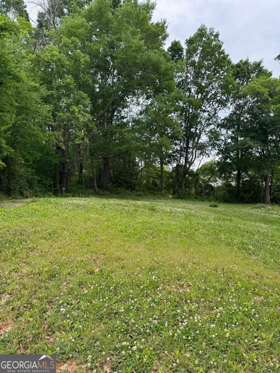 0 Pace Street, Cedartown, GA 30125 - #3