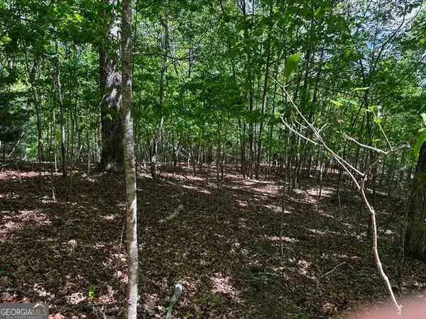 LOT 43 Edgewood Trail, Blairsville, GA 30512