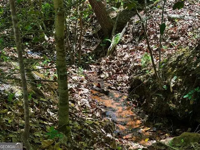 LOT 43 Edgewood Trail, Blairsville, GA 30512 - #3