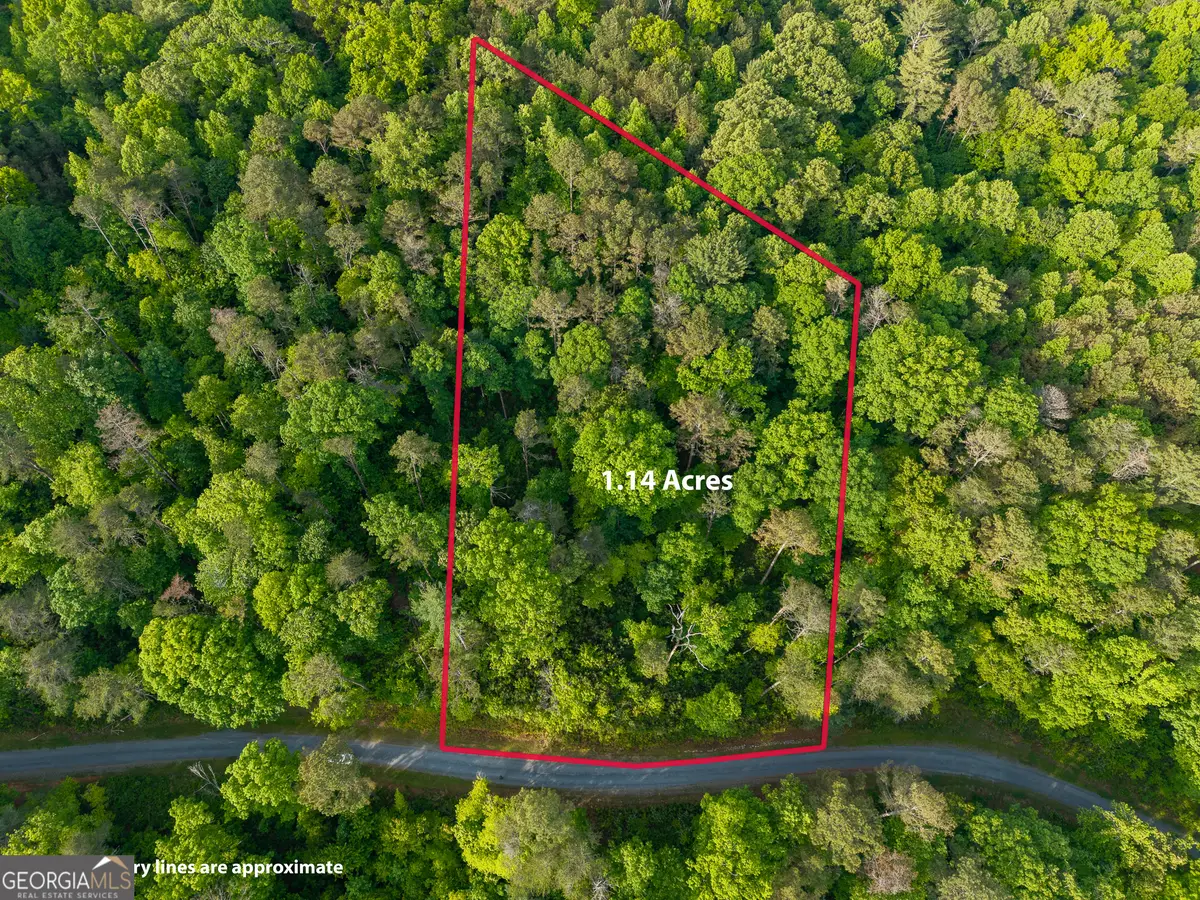 LOT 45 Hilton Drive, Ellijay, GA 30540 - #1
