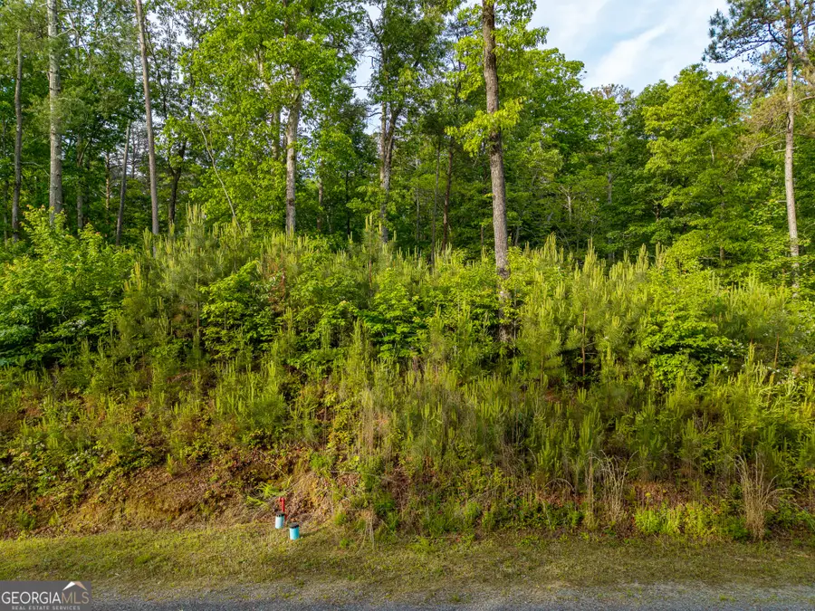 LOT 45 Hilton Drive, Ellijay, GA 30540 - #2