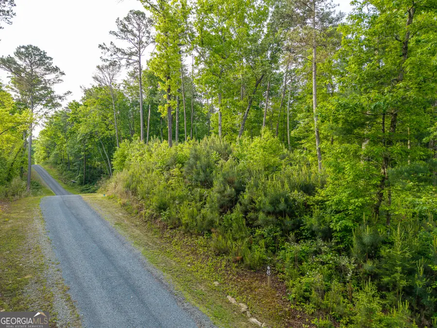 LOT 45 Hilton Drive, Ellijay, GA 30540 - #3