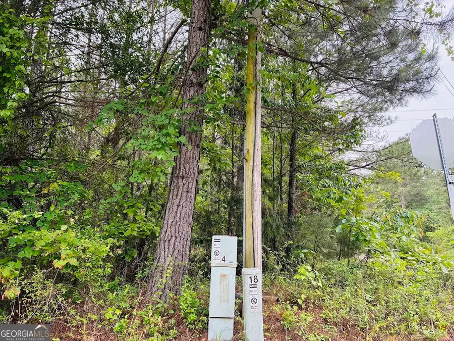 0 Lee Lane #LOT 1, Greenville, GA 30222 - #2