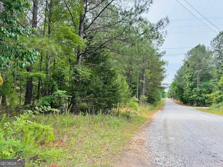 0 Lee Lane #LOT 1, Greenville, GA 30222 - #3